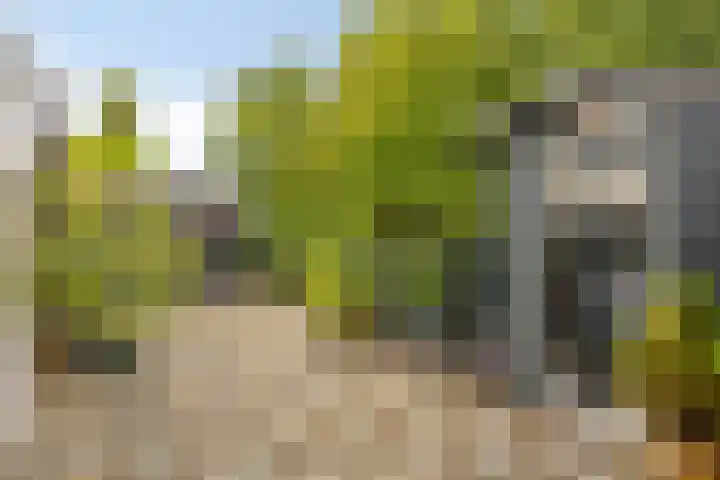 Papewegse Hof 22 Wassenaar thumbnail 24