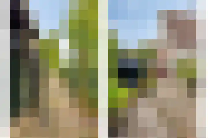 Papewegse Hof 22 Wassenaar thumbnail 25