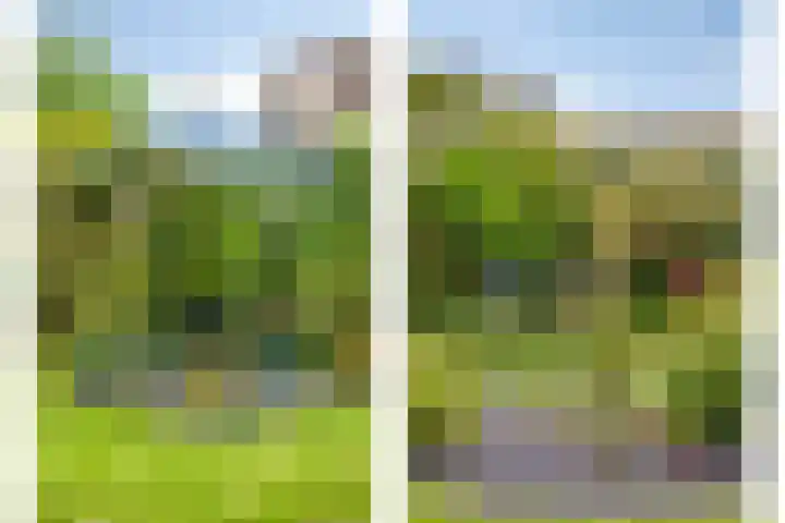 Papewegse Hof 22 Wassenaar thumbnail 39