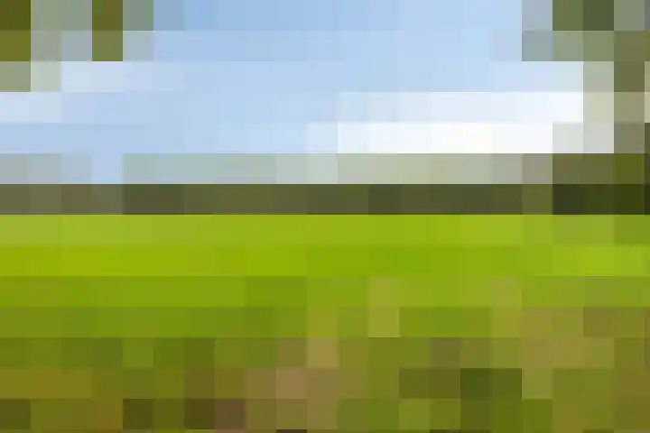 Papewegse Hof 22 Wassenaar thumbnail 41