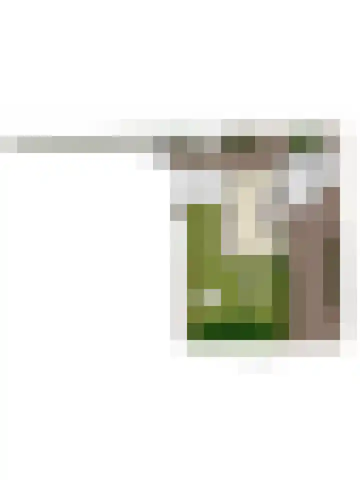 Papewegse Hof 22 Wassenaar thumbnail 42
