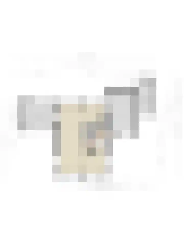 Papewegse Hof 22 Wassenaar thumbnail 43
