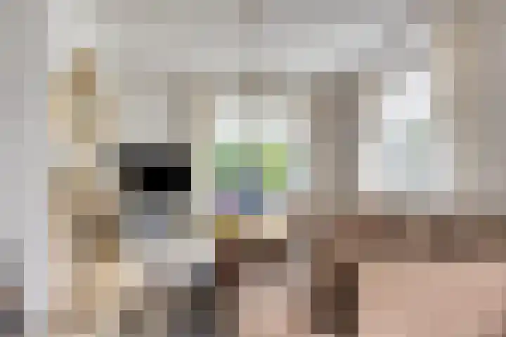 Papewegse Hof 22 Wassenaar thumbnail 8