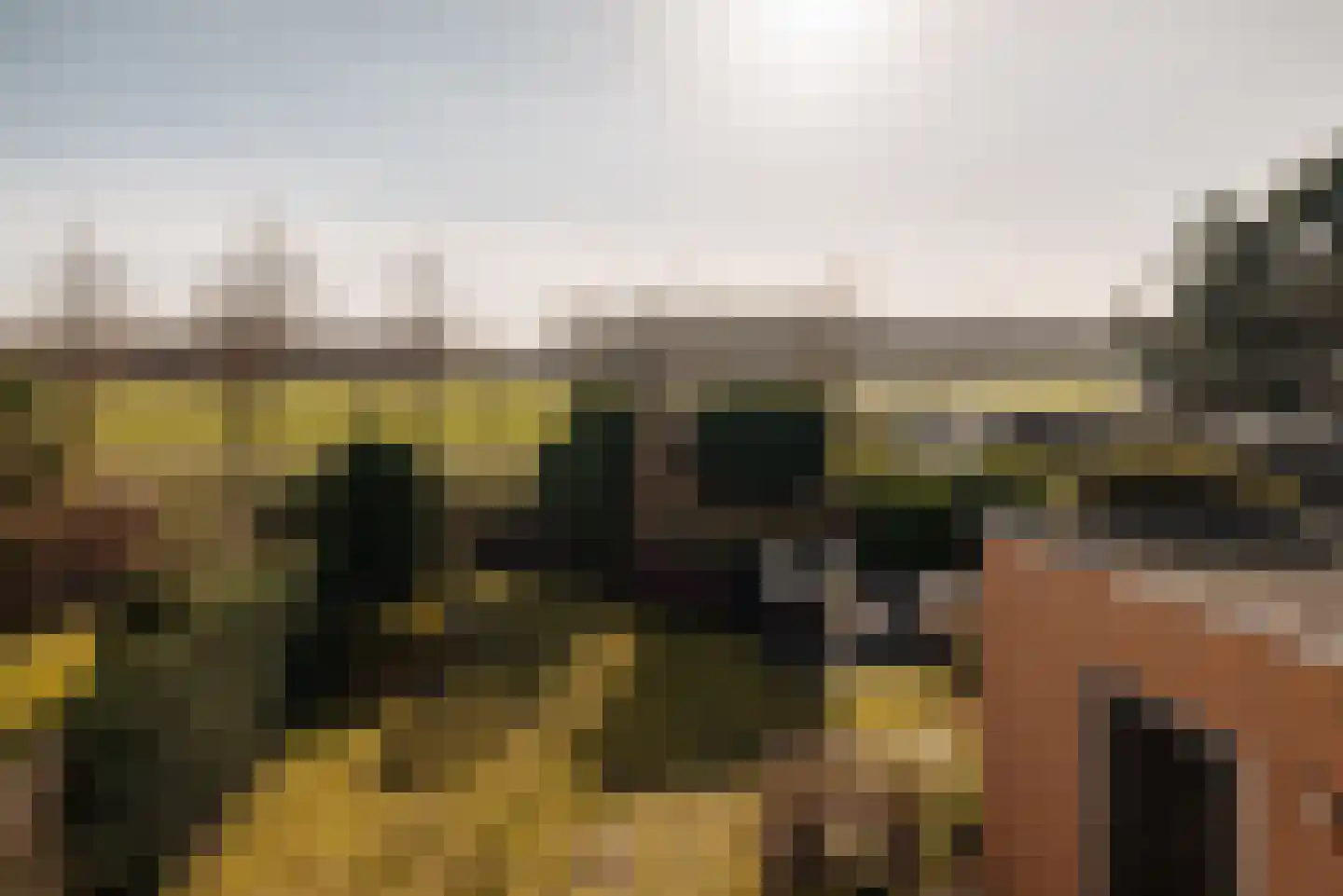 Papewegse Hof 4 Wassenaar thumbnail 23
