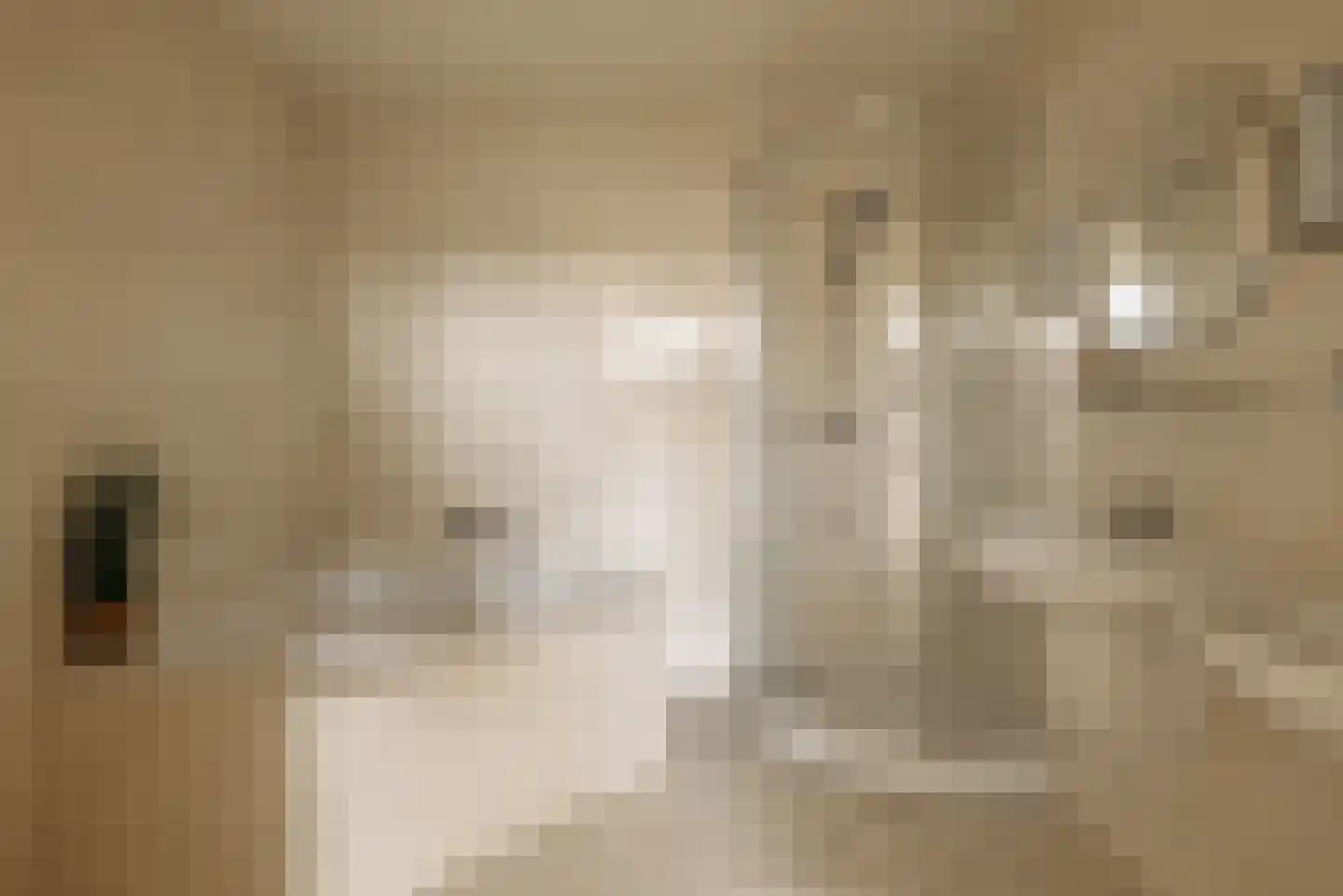 Papewegse Hof 4 Wassenaar thumbnail 27