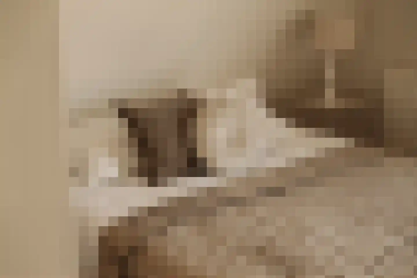 Papewegse Hof 4 Wassenaar thumbnail 33