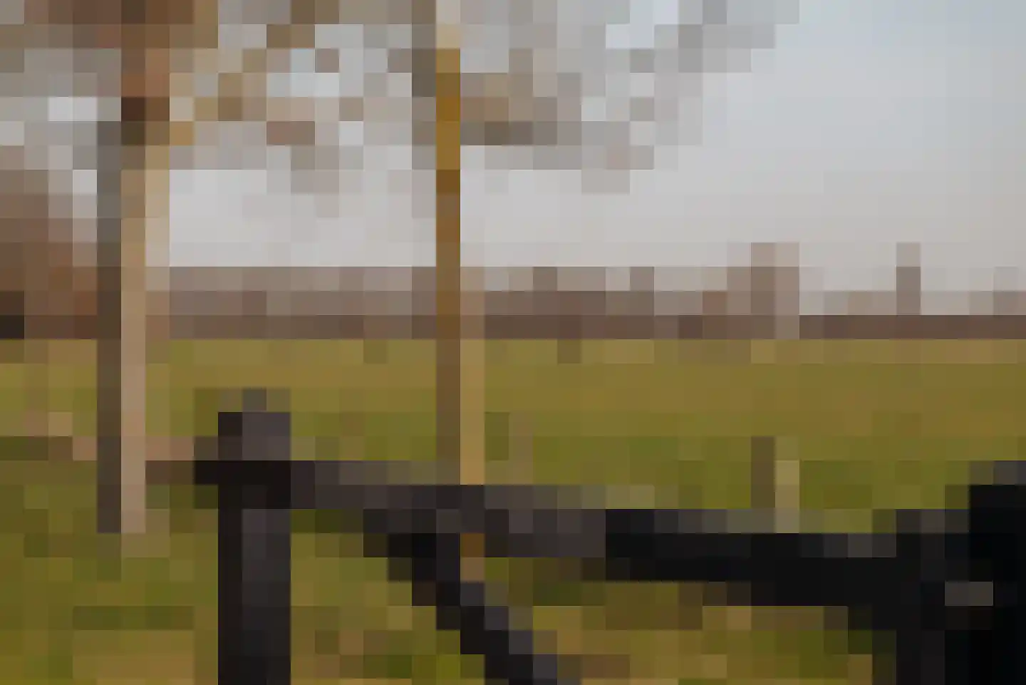 Papewegse Hof 4 Wassenaar thumbnail 38