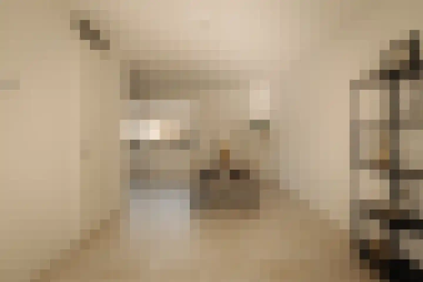 Papewegse Hof 4 Wassenaar thumbnail 5