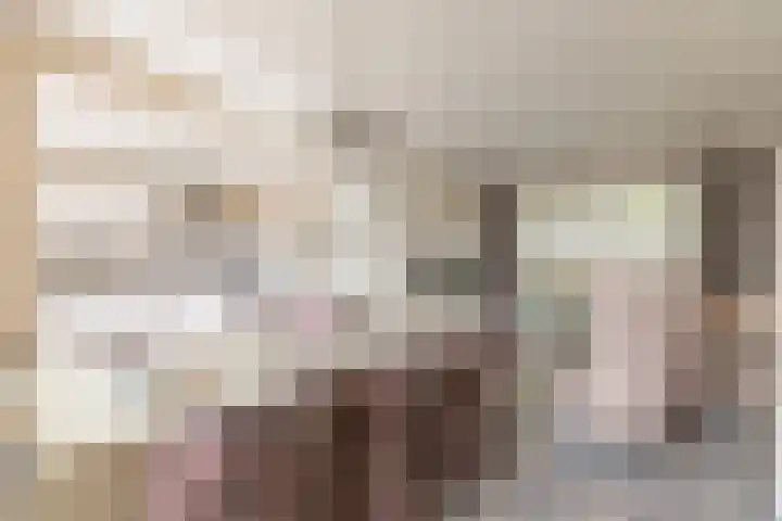 Papierberk 25 Zundert thumbnail 13
