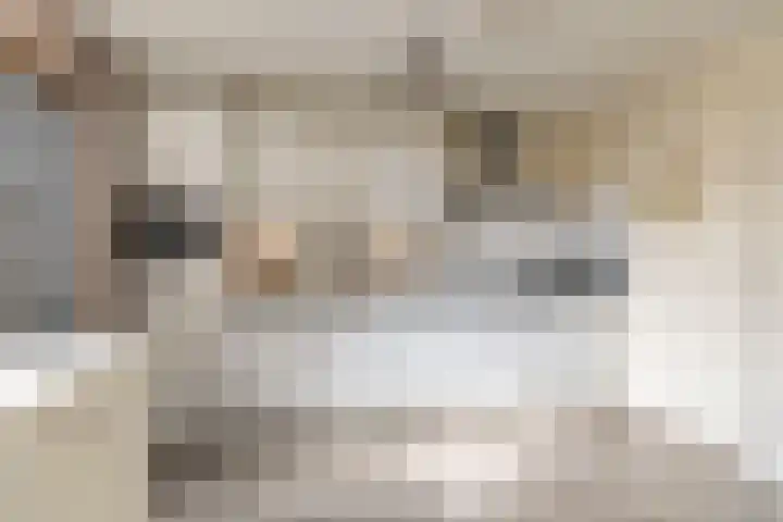 Papierberk 25 Zundert thumbnail 15