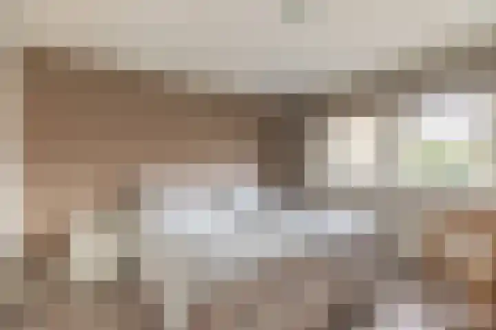 Papierberk 25 Zundert thumbnail 18