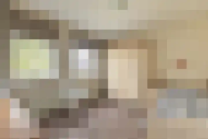 Papierberk 25 Zundert thumbnail 20