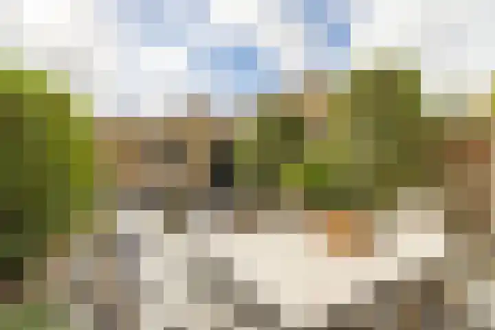 Papierberk 25 Zundert thumbnail 26