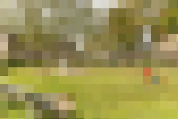 Papierberk 25 Zundert thumbnail 29
