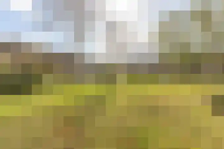 Papierberk 25 Zundert thumbnail 6