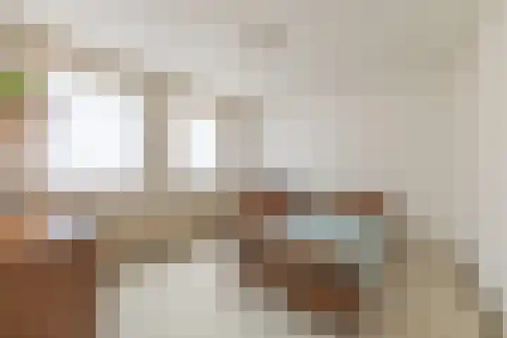 Papierberk 5 Zundert thumbnail 11