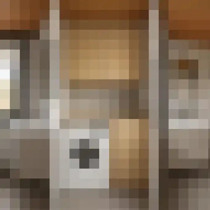 Papierberk 5 Zundert thumbnail 19