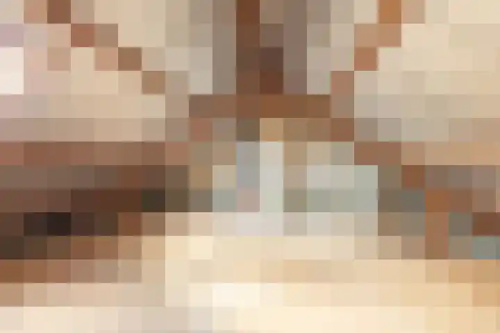Papierberk 5 Zundert thumbnail 21