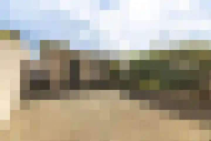 Papierberk 5 Zundert thumbnail 22