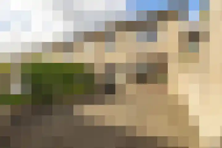 Papierberk 5 Zundert thumbnail 24
