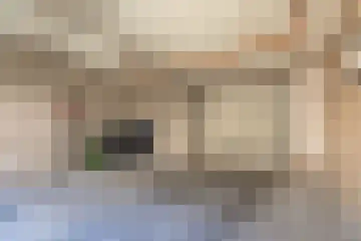 Papierberk 5 Zundert thumbnail 25