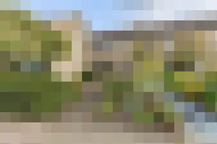 Papierberk 5 Zundert thumbnail 28