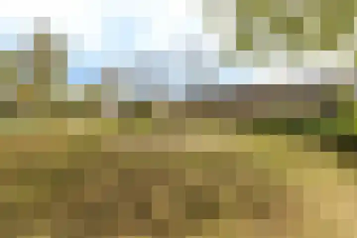 Papierberk 5 Zundert thumbnail 29