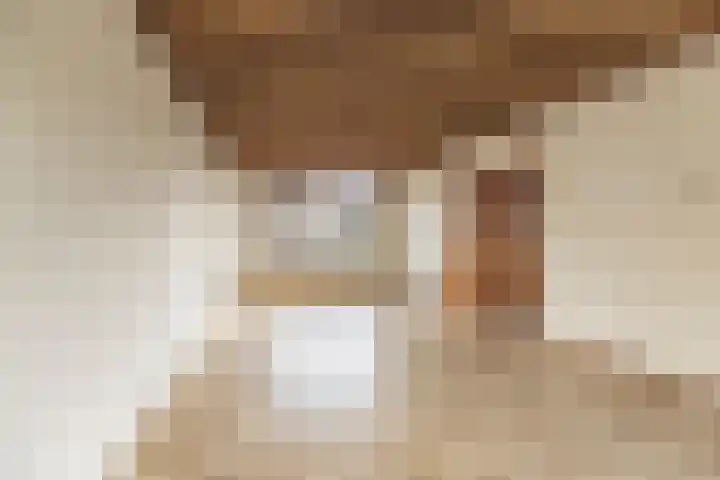 Papierberk 5 Zundert thumbnail 5