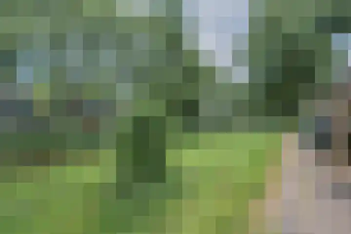 Papierbloem 9 Rotterdam thumbnail 39