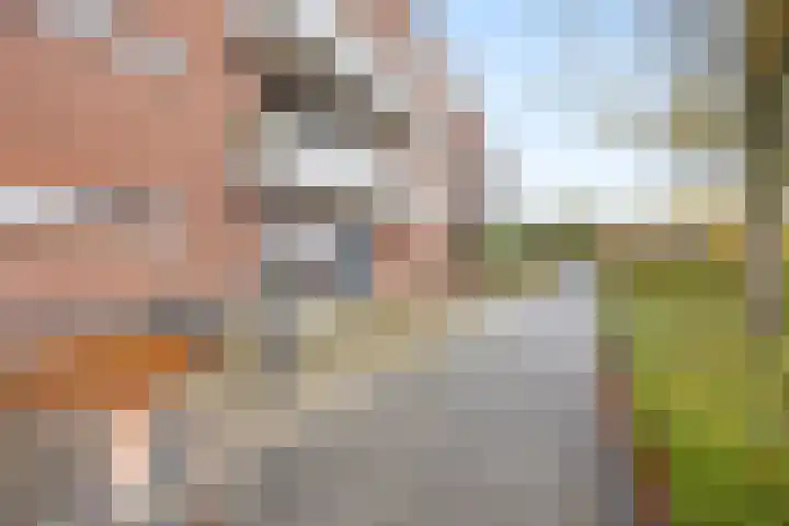 Papiermakersbeek 12 Barneveld thumbnail 28