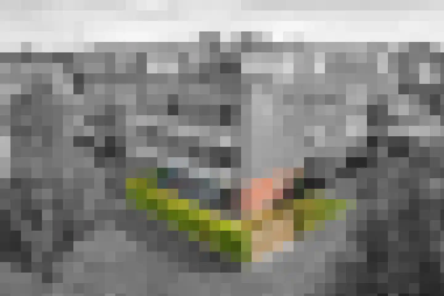 Papiermakersbeek 6 Barneveld thumbnail 22