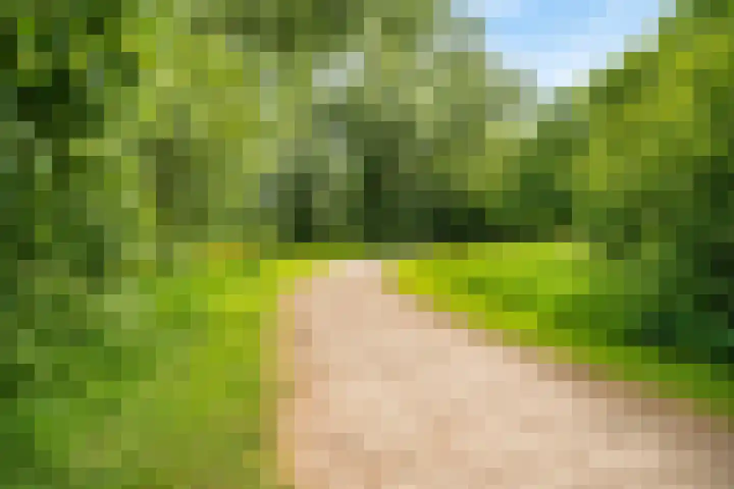 Papiermakersbeek 6 Barneveld thumbnail 25