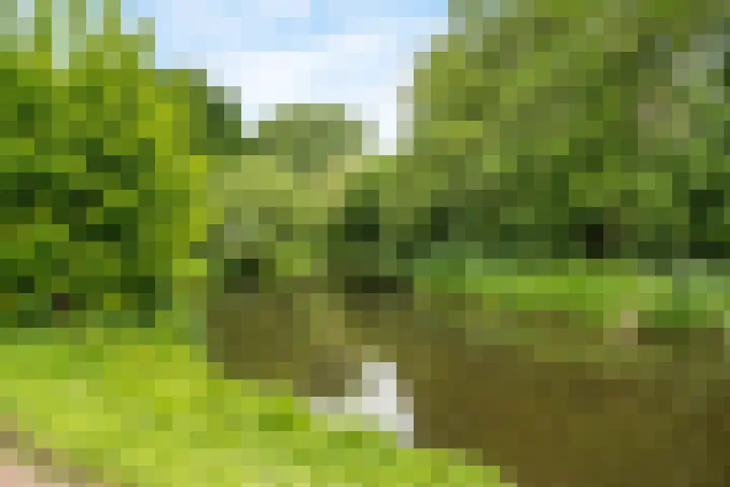 Papiermakersbeek 6 Barneveld thumbnail 27