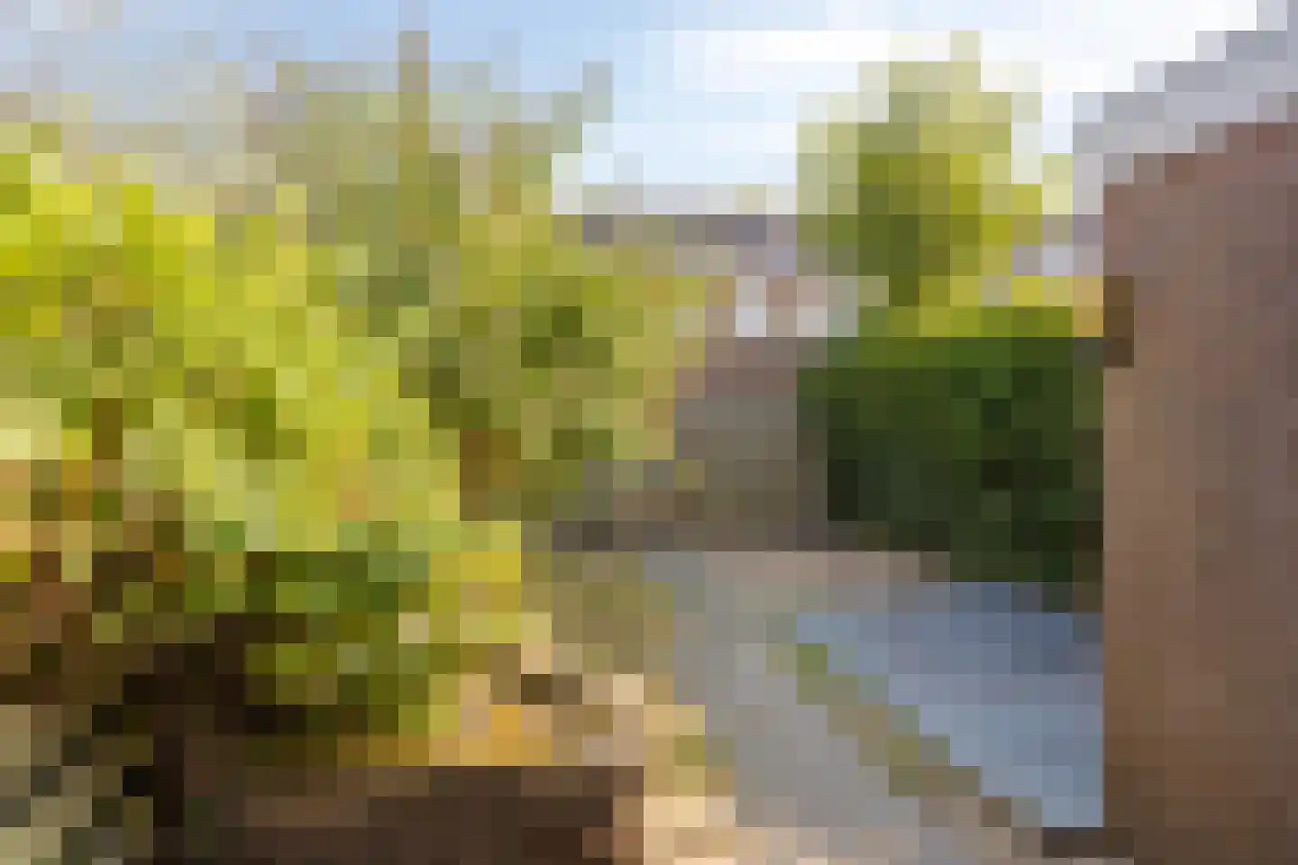 Papiermakerserf 32 Eerbeek thumbnail 27