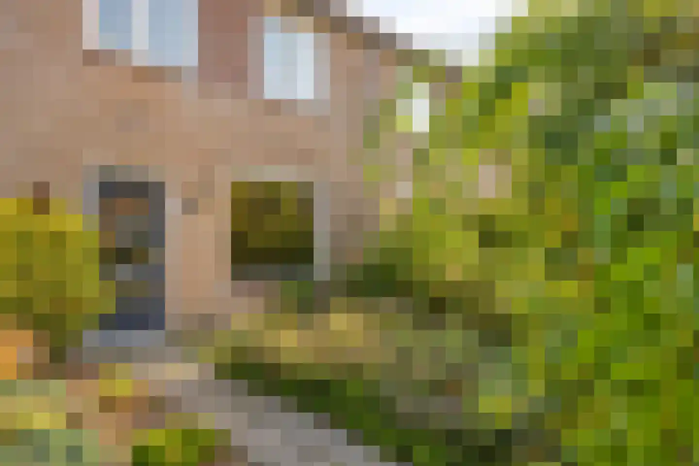 Papiermakerserf 32 Eerbeek thumbnail 6