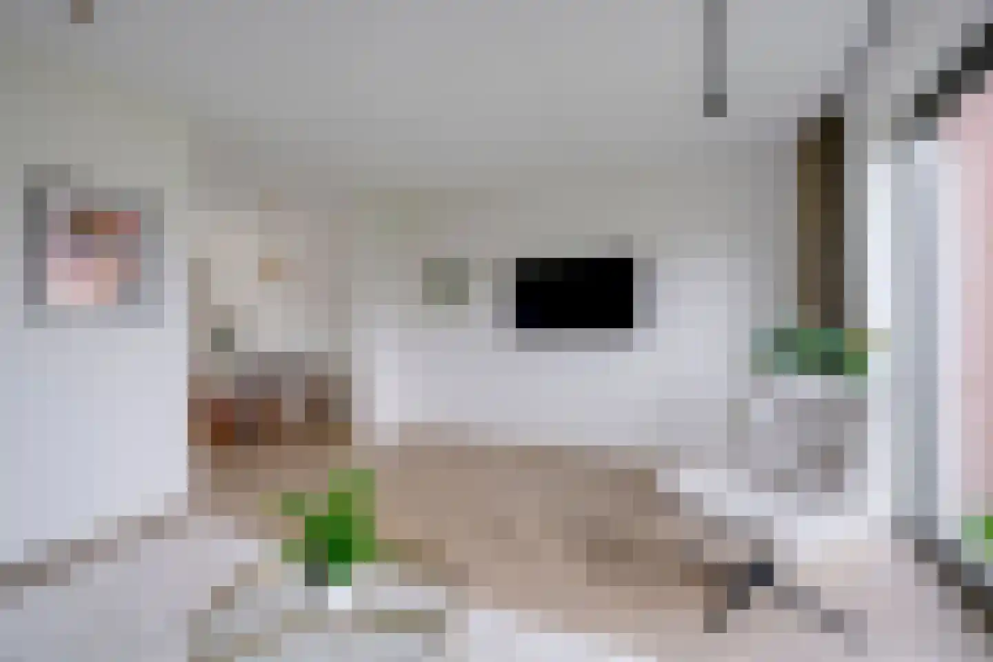 Papiermoerbeilaan 32 Utrecht thumbnail 19