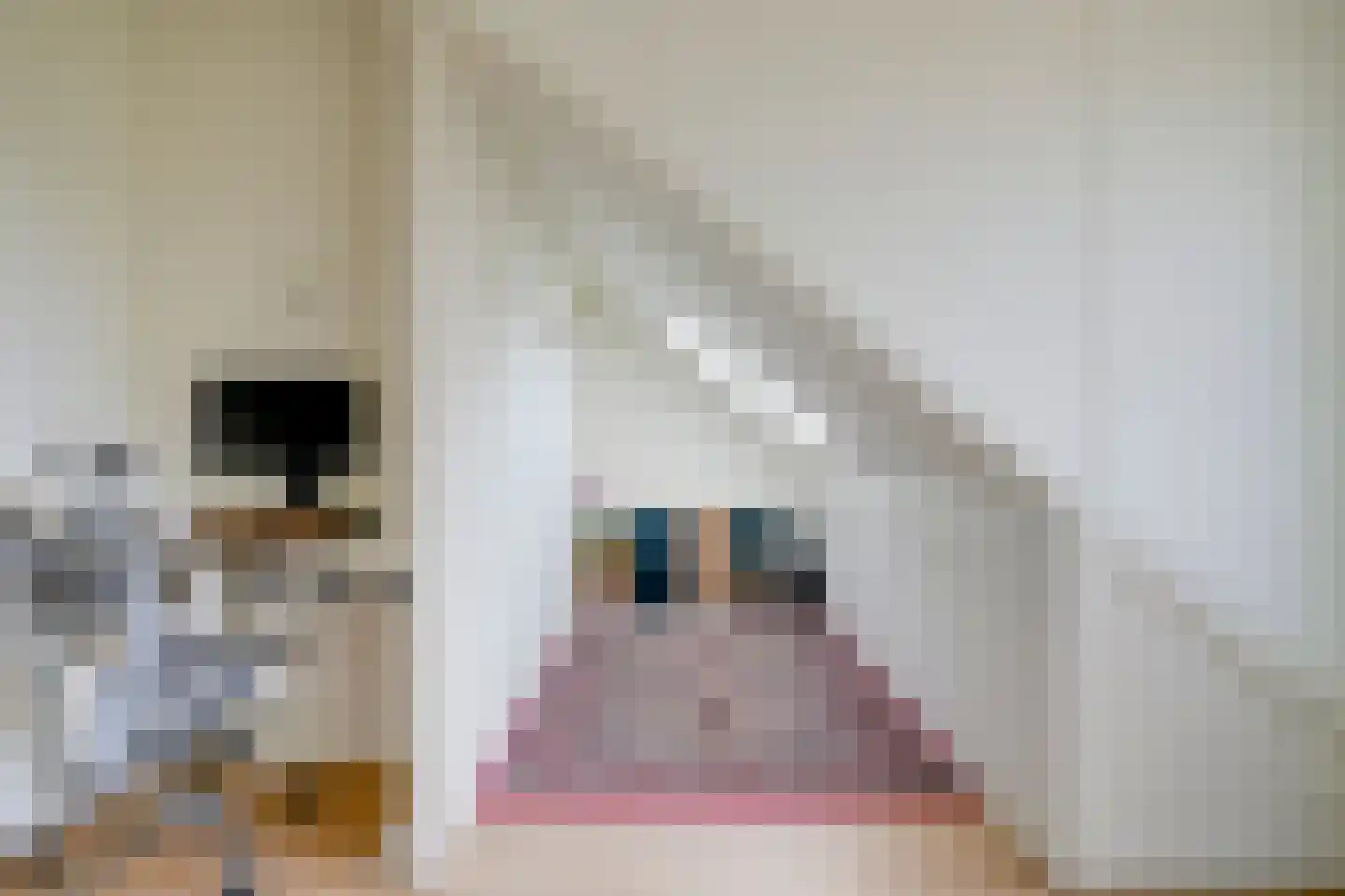 Papiermoerbeilaan 32 Utrecht thumbnail 38