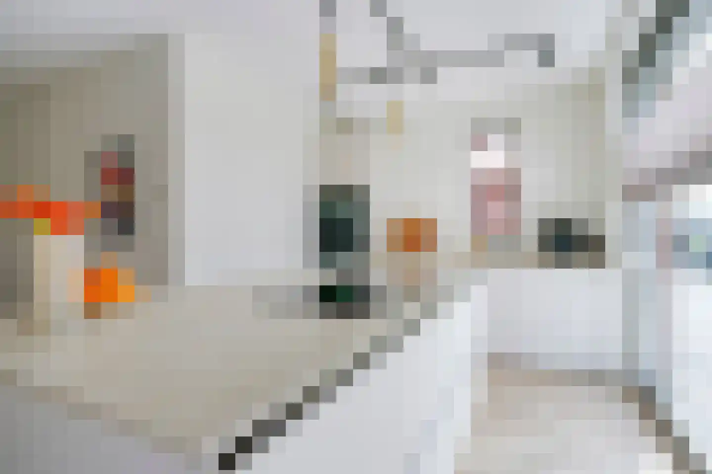 Papiermoerbeilaan 32 Utrecht thumbnail 9