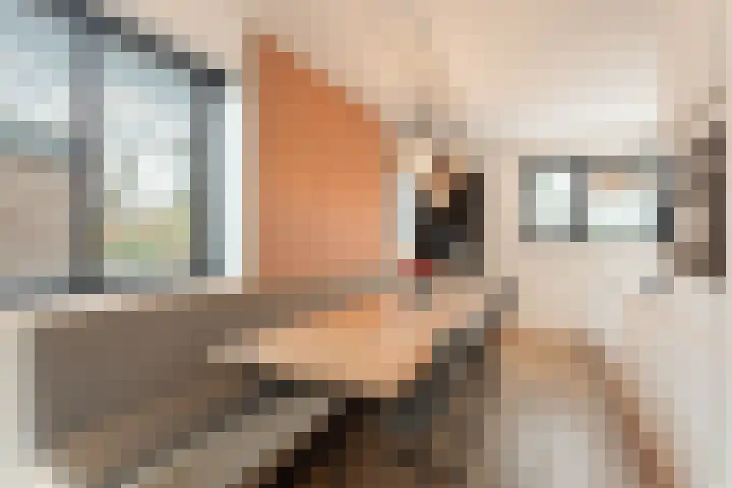 Papiermolen 13 Koog aan de Zaan thumbnail 11