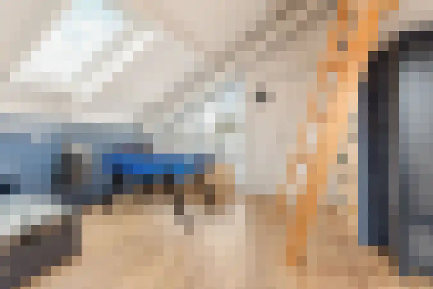 Papiermolen 13 Koog aan de Zaan thumbnail 31