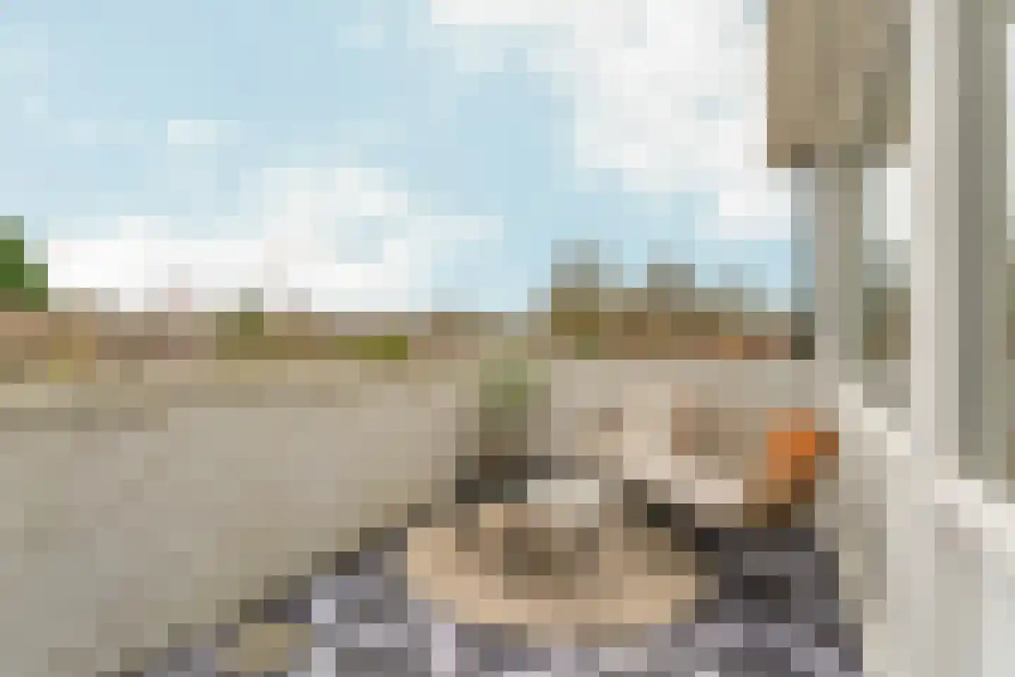 Papiermolen 13 Koog aan de Zaan thumbnail 39