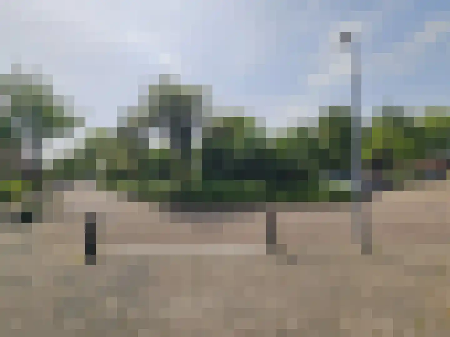 Papiermolen 13 Koog aan de Zaan thumbnail 59
