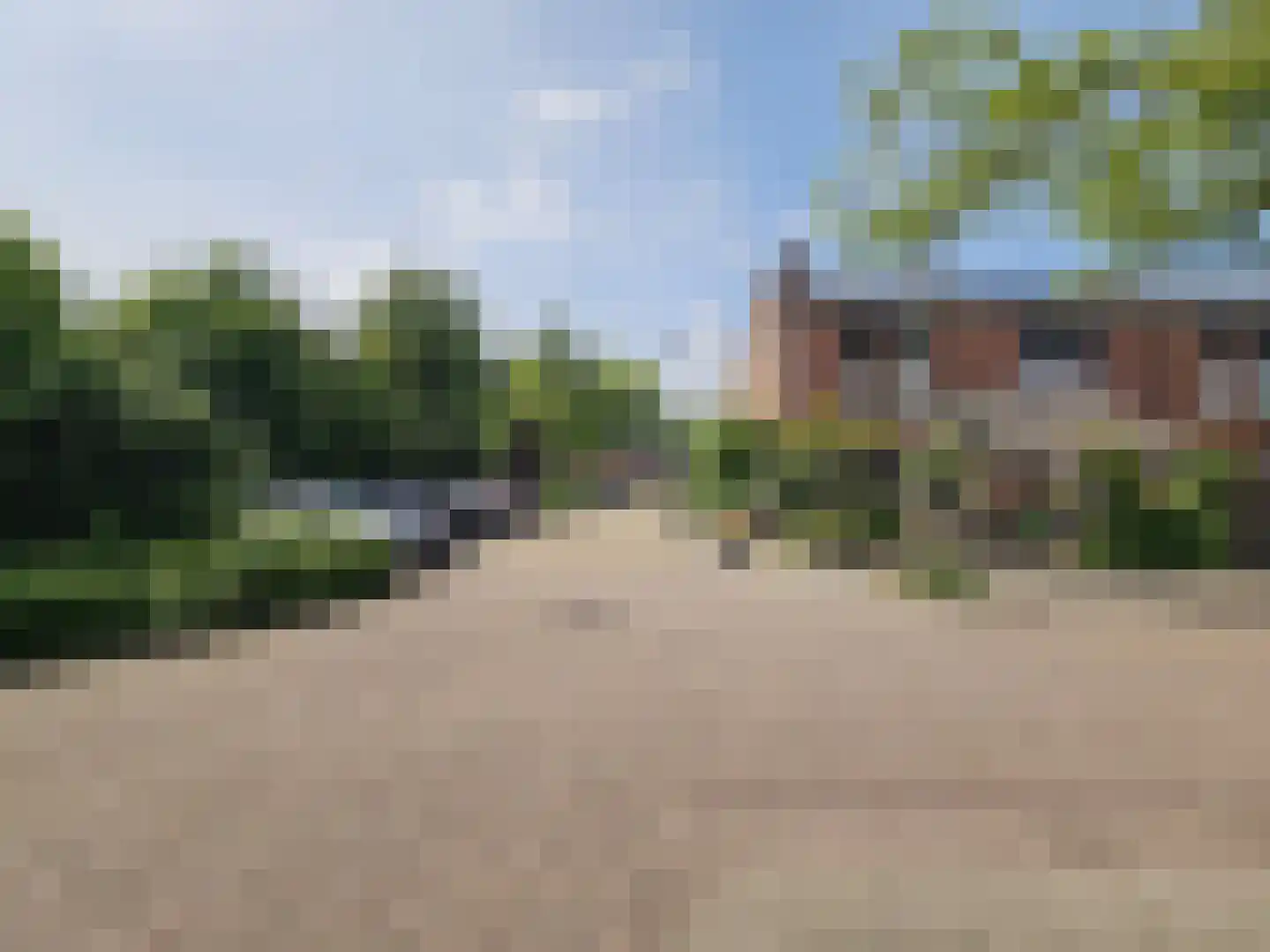 Papiermolen 13 Koog aan de Zaan thumbnail 60