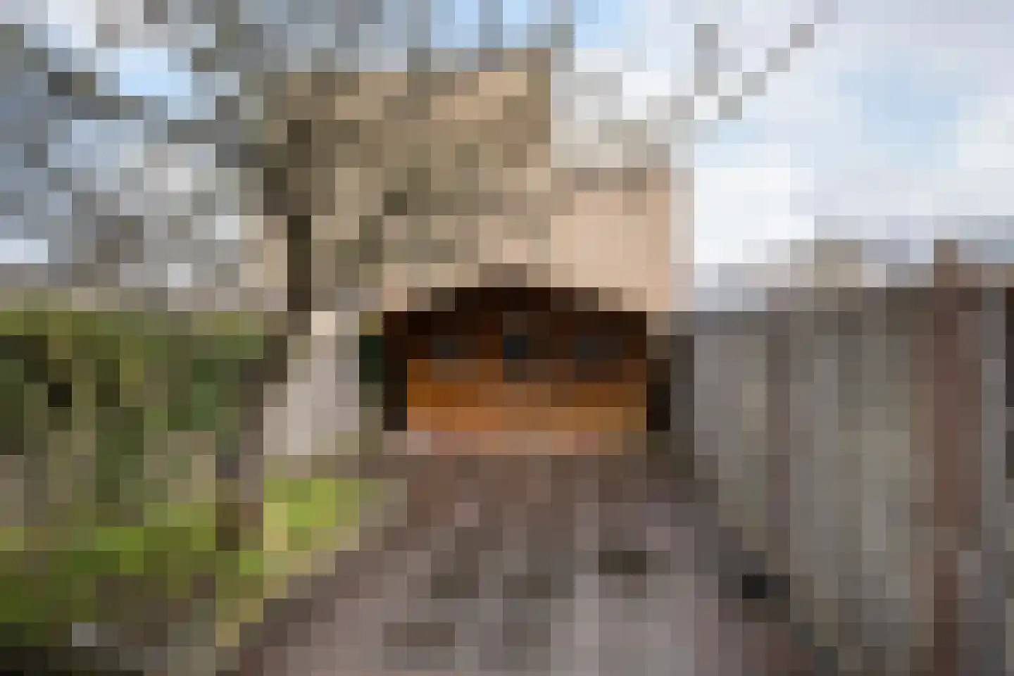 Papiermolen 14 Maassluis thumbnail 15