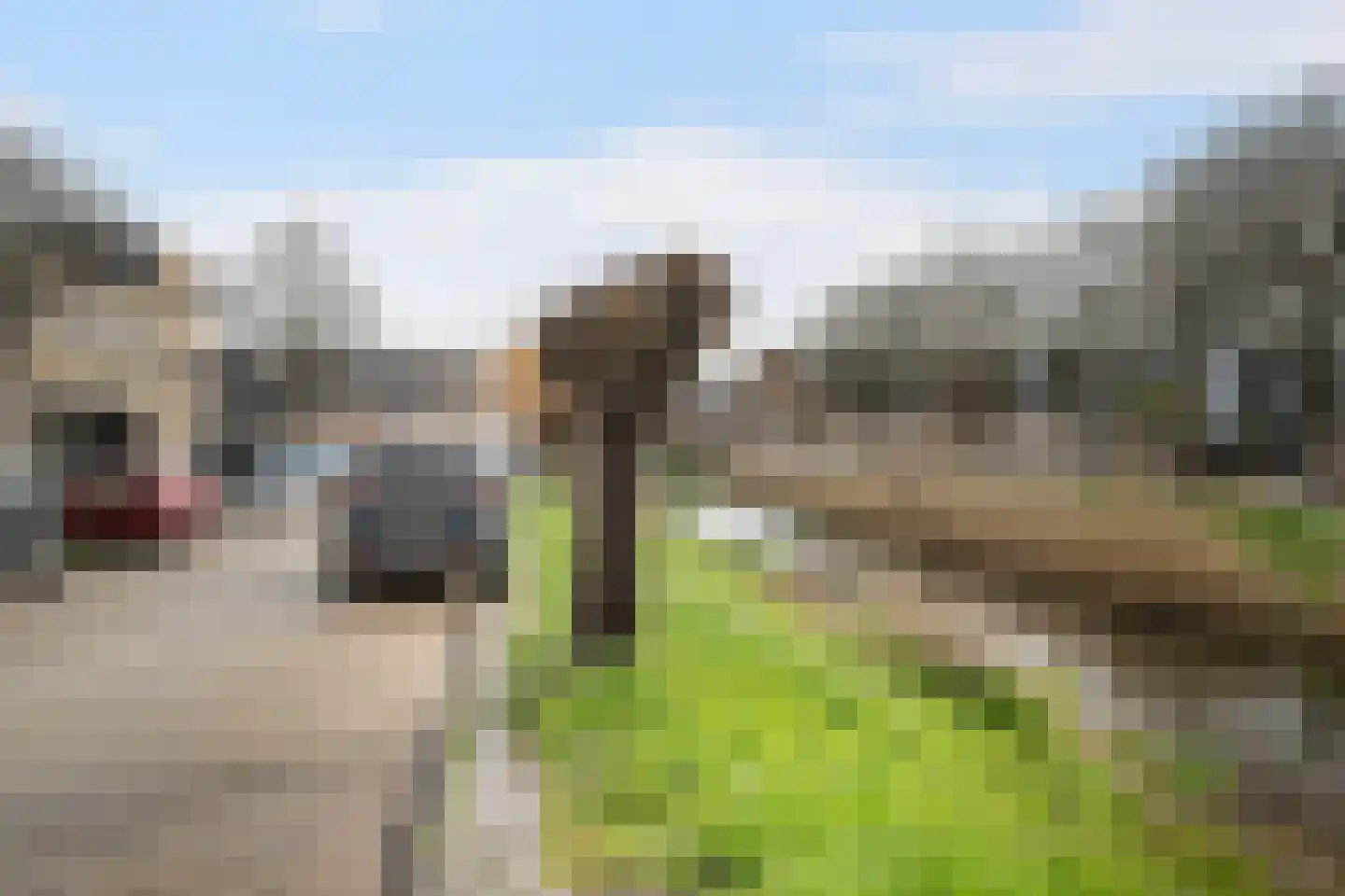 Papiermolen 14 Maassluis thumbnail 42