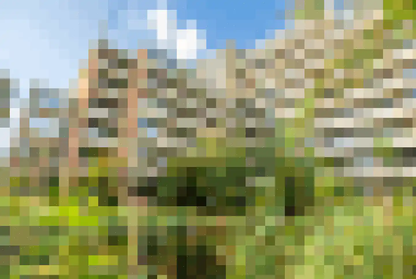 Papiermolen 140 Leiden thumbnail 23