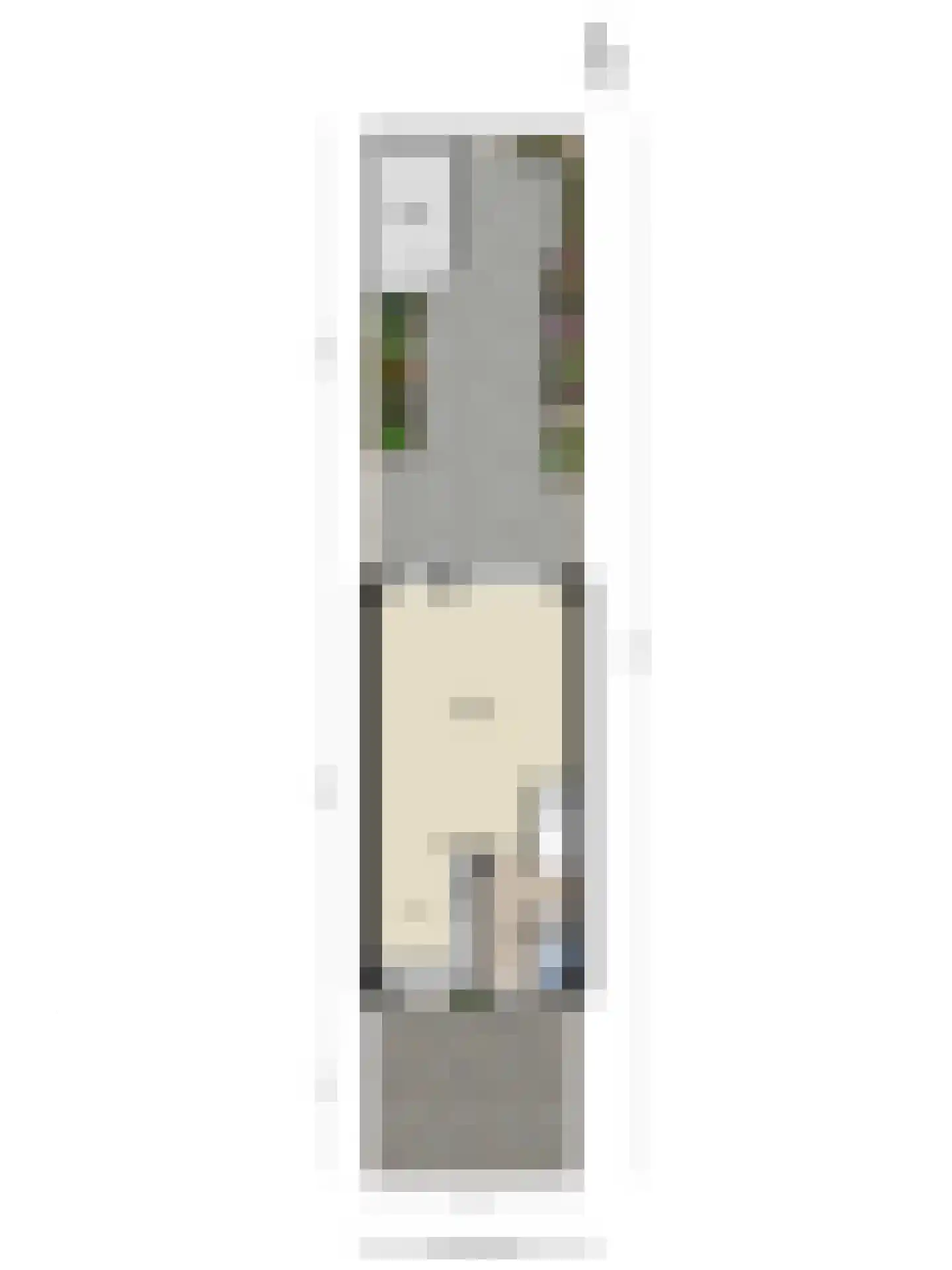 Papiermolen 16 Heerhugowaard thumbnail 43