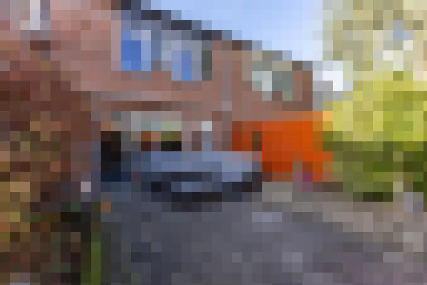 Papiermolen 17 Koog aan de Zaan thumbnail 12