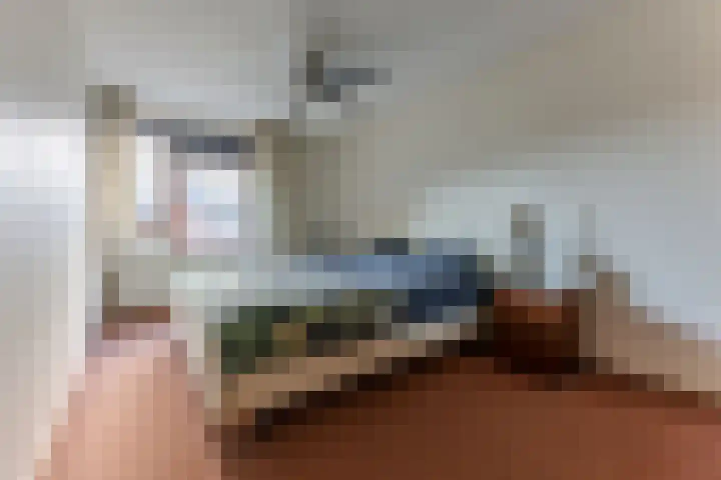 Papiermolen 17 Koog aan de Zaan thumbnail 16