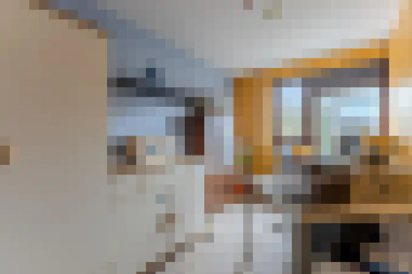 Papiermolen 17 Koog aan de Zaan thumbnail 21